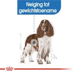 Royal Canin Light Weight Care Medium - Hondenvoer - 12 Kg -Huisdierbenodigdheden 1200x1160 19