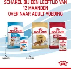 Royal Canin Shn Medium Puppy Pouch - Hondenvoer - 10 X 140 G -Huisdierbenodigdheden 1200x1160 21