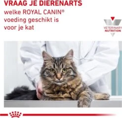 Royal Canin Gastro Intestinal - Kattenvoer - 4 Kg -Huisdierbenodigdheden 1200x1160 29