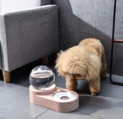 Merkloos Drinkbak En Voerbak - Luxe Design! - Automatische Water Dispenser - Voor Kat En Kleine Hond (excl. RVS Bakje) Groen -Huisdierbenodigdheden 1200x1160 7