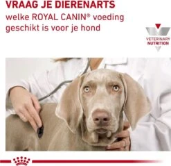 Royal Canin Urinary U/C Low Purine - Hondenvoer - 14 Kg -Huisdierbenodigdheden 1200x1161 18