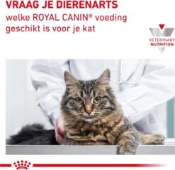 Royal Canin Renal - Rund - Kattenvoer - 12 X 85 G -Huisdierbenodigdheden 1200x1161 29