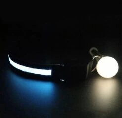 Honden Halsband Led Verlichting – Reflecterende Hals Band - Reflective Dog Collar Led Lights -Huisdierbenodigdheden 1200x1162 12