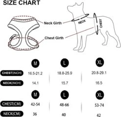 *** Katy`s Kattentuigje Zwart Maat M Met Looplijn - Kleine Hond - Kattenharnas - Honden Harnas - Kattenriem - Uitlaten - Van Heble® *** 8 *** Katy`s Kattentuigje Zwart Maat M Met Looplijn - Kleine Hond - Kattenharnas - Honden Harnas - Kattenriem - Uitlaten - Van Heble® *** -Huisdierbenodigdheden 1200x1162 30