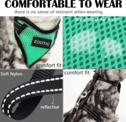 Kattentuigje Met Leiband Riem Kattenharnas Groen Maat M Kat & Kitten - Dieren Kattenriem - Cat Leash - Halsomvang 20 Tot 26cm - Borstomvang 30 Tot 34cm - Zootic® -Huisdierbenodigdheden 1200x1164 24