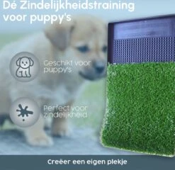 Merkloos Gtrise Hondentoilet Met 2 Matten - Out/Indoor - Zindelijkheidstraining Ebook - Dieren Wc 11 Merkloos Gtrise Hondentoilet Met 2 Matten - Out/Indoor - Zindelijkheidstraining Ebook - Dieren Wc -Huisdierbenodigdheden 1200x1164 4