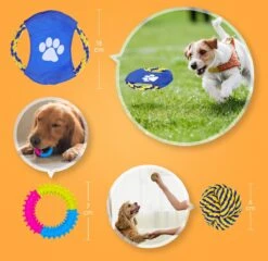 Nobleza Honden Speelgoed Set PLJ - 10 Stuks -Huisdierbenodigdheden 1200x1165 14