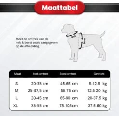 Purrr Fect Hondentuigje - Anti-Trek Tuig - Hondenharnas - Y Tuig Hond - Waterproof - Reflecterend - Verstelbaar - Maat L 11 Purrr Fect Hondentuigje - Anti-Trek Tuig - Hondenharnas - Y Tuig Hond - Waterproof - Reflecterend - Verstelbaar - Maat L -Huisdierbenodigdheden 1200x1167 1