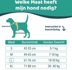 Mmoods Hondentuigje Grijs - Anti-Trek Tuig - Hondenharnas Voor Grote Honden- Reflecterende Halsband Hond - Hondenhalsband Maat L 12 Mmoods Hondentuigje Grijs - Anti-Trek Tuig - Hondenharnas Voor Grote Honden- Reflecterende Halsband Hond - Hondenhalsband Maat L -Huisdierbenodigdheden 1200x1167 20