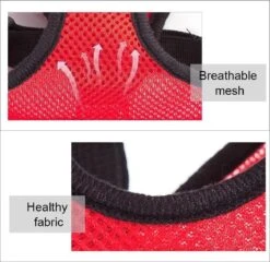 Hondentuig- Hondentuigjes Kleine Hond-hondentuigjes Puppy-Kattenspeeltjes-kat-dog-Kattenharnas-kattentuigje -kattentuigje Met Looplijn-maat M-Rood 7 Hondentuig- Hondentuigjes Kleine Hond-hondentuigjes Puppy-Kattenspeeltjes-kat-dog-Kattenharnas-kattentuigje -kattentuigje Met Looplijn-maat M-Rood -Huisdierbenodigdheden 1200x1167 22