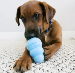 Kong Puppy - Kauwbot Hondenspeelgoed Small - Kauwbot - 85mm X 42mm - Groen/Wit -Huisdierbenodigdheden 1200x1167 24