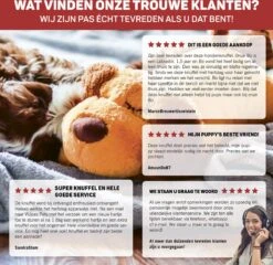 Vulpes Pets® Knuffel Hond Met Hartslag – Puppyknuffel - Hondenknuffel Voor Puppy - Snuggle Puppy - Knuffel Met Hartslag En Gratis Warmte Pad Speciaal Voor Puppy's -Huisdierbenodigdheden 1200x1167 26