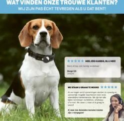 Vulpes Pets® Hondenhalsband Geschikt Voor Apple AirTag - Apple Airtag Halsband Voor Honden Pro - Veilig, Lichtgewicht, Reflecterend & Comfortabel - Anti-kras En Waterbestendig - Incl. 2 Accessoires - 30.5-36 CM - S -Huisdierbenodigdheden 1200x1167 34