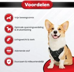 Purrr Fect Hondentuigje - Anti-Trek Tuig - Hondenharnas - Y Tuig Hond - Waterproof - Reflecterend - Verstelbaar - Maat L 14 Purrr Fect Hondentuigje - Anti-Trek Tuig - Hondenharnas - Y Tuig Hond - Waterproof - Reflecterend - Verstelbaar - Maat L -Huisdierbenodigdheden 1200x1167 4