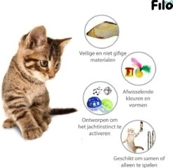 Filo Kattenspeelgoed Set 30 Stuks - Kattenspeeltje Kattentunnel - Kattenhengel - Kattenveertjes - Vis Met Kattenkruid - Kattenspeeltjes Intelligentie Kitten - Interactief Speelgoed Katten - Poezen Speeltjes -Huisdierbenodigdheden 1200x1167 43