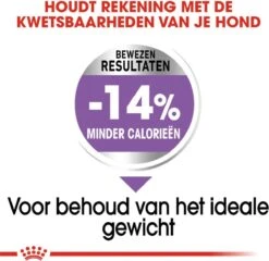 Royal Canin Mini Sterilised 8 KG -Huisdierbenodigdheden 1200x1168 15