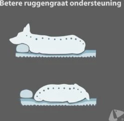 PETKIT® Deep Sleep Bed - Hondenmand - Kattenmand - Memory Foam - Orthopedisch - Maat M -Huisdierbenodigdheden 1200x1168 18