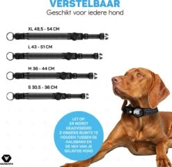Vulpes Pets® Hondenhalsband Geschikt Voor Apple AirTag - Apple Airtag Halsband Voor Honden Pro - Veilig, Lichtgewicht, Reflecterend & Comfortabel - Anti-kras En Waterbestendig - Incl. 2 Accessoires - 30.5-36 CM - S -Huisdierbenodigdheden 1200x1168 20