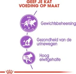 Royal Canin Sterilised 37 - Kattenvoer - 4 Kg -Huisdierbenodigdheden 1200x1168 21