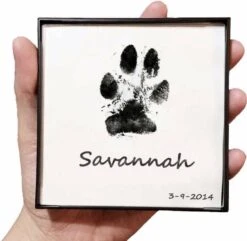 Merkloos Paw Print Pad - Pootafdruk Maken Van Hond Of Kat -Huisdierbenodigdheden 1200x1169 14