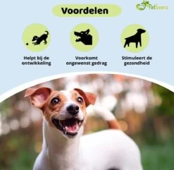 Petloverz Ballen Set - Honden Speelgoed - Intelligentie - Ballen - 6 Stuks -Huisdierbenodigdheden 1200x1170 12