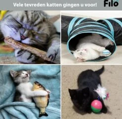 Filo Kattenspeelgoed Set 30 Stuks - Kattenspeeltje Kattentunnel - Kattenhengel - Kattenveertjes - Vis Met Kattenkruid - Kattenspeeltjes Intelligentie Kitten - Interactief Speelgoed Katten - Poezen Speeltjes -Huisdierbenodigdheden 1200x1170 33