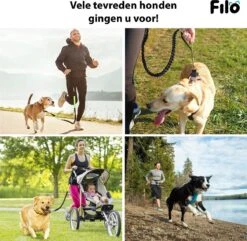Filo Elastische Hondenriem Groot - Hardlopen En Wandelen - Hardloopriem Hond Handsfree Met Heuptasje - Looplijn Met Heupriem - Canicross Gordel Honden - Riemen - Heupgordel - Leiband -Huisdierbenodigdheden 1200x1171 1