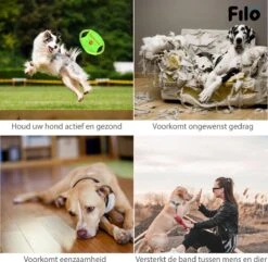 Filo Honden Speelgoed Set 14 Stuks - Hondenspeeltjes Knuffel - Hondenbal - Flostouw - Bot - Frisbee - Hondentouw - Hondenspeelgoed Intelligentie - Kauwspeelgoed Hond En Puppy - Bijtspeelgoed Hondenknuffel - Hondenspeeltje Met Piep -Huisdierbenodigdheden 1200x1171 11