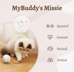MyBuddy - Interactieve Zelf Rollende Bal - Kattenspeeltjes - Kattenspeelgoed - Bal Voor Katten - LED Lights - Speelgoed - USB - Roze -Huisdierbenodigdheden 1200x1171 23