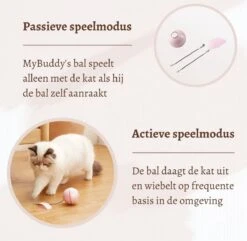 MyBuddy - Interactieve Zelf Rollende Bal - Kattenspeeltjes - Kattenspeelgoed - Bal Voor Katten - LED Lights - Speelgoed - USB - Roze -Huisdierbenodigdheden 1200x1171 24