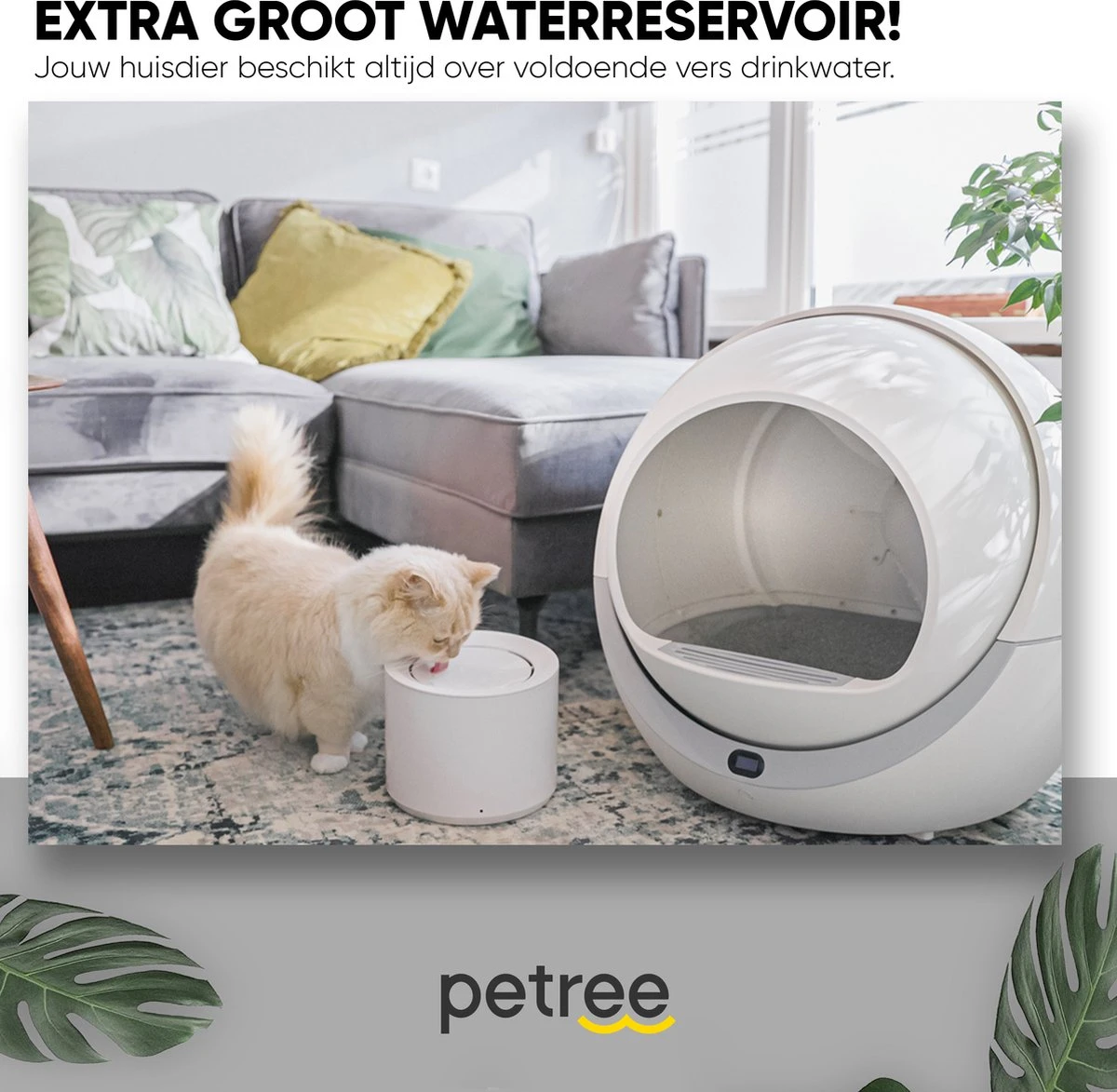 Petree Drinkfontein - Kat - Hond - Viervoudige Filtersysteem - UV-lamp - Drinkbakken - Dieren - Fluisterstil (1.8L) 7 Petree Drinkfontein - Kat - Hond - Viervoudige Filtersysteem - UV-lamp - Drinkbakken - Dieren - Fluisterstil (1.8L) - Afbeelding 7