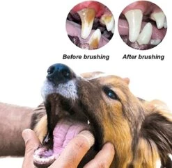 Doodadeals® 4 Stuks Siliconen Honden Tandenborstel - Tanden Borstel Hond - Silicone Dog Tootbrush - Multikleur 9 Doodadeals® 4 Stuks Siliconen Honden Tandenborstel - Tanden Borstel Hond - Silicone Dog Tootbrush - Multikleur -Huisdierbenodigdheden 1200x1175 16