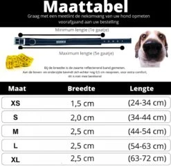 Halsband Hond Met Gesp - Reflecterend - Blauw - Maat XL - Oersterk -Huisdierbenodigdheden 1200x1175 19