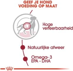 Royal Canin Shn Medium Adult Pouch - Hondenvoer - 10 X 140 G -Huisdierbenodigdheden 1200x1175 9