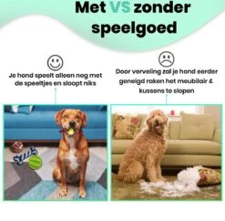 Petloverz – Honden Speelgoed Set – Honden Speeltjes – Knuffel - Speelgoed – Intelligentie – 15 Speeltjes -Huisdierbenodigdheden 1200x1177 11