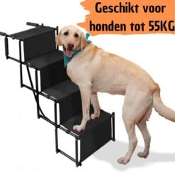 Hondentrap Inklapbaar - Extra Stevig Loopplank Hond Voor Auto - Veilig Trap Voor Hond - Anti Slip Met Coating - Zwart Deluxe 20 Hondentrap Inklapbaar - Extra Stevig Loopplank Hond Voor Auto - Veilig Trap Voor Hond - Anti Slip Met Coating - Zwart Deluxe -Huisdierbenodigdheden 1200x1178 12