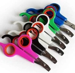 Doodadeals® | Nagelschaar Kat | Nagelschaar Hond | Nagelschaar Konijn | Nagelschaar Cavia | Multi Color | 1 Stuk -Huisdierbenodigdheden 1200x1178 5