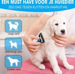 Professionele Ondervacht Kam Voor Hond En Kat S – Hondenborstel – Kattenborstel - Hondenkam –Anti Klit - Haarverwijderaar Voor Huisdieren - Pijnloos - Huisdiervriendelijk – Klittenkam - Voorkomt Haaruitval - Kleine Variant- Black Friday - Sinterklaas 8 Professionele Ondervacht Kam Voor Hond En Kat S – Hondenborstel – Kattenborstel - Hondenkam –Anti Klit - Haarverwijderaar Voor Huisdieren - Pijnloos - Huisdiervriendelijk – Klittenkam - Voorkomt Haaruitval - Kleine Variant- Black Friday - Sinterklaas -Huisdierbenodigdheden 1200x1178 7