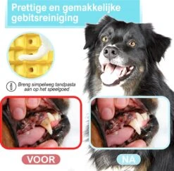 Merkloos Corn Dog Toothbrush - Honden Speelgoed - Hondenspeelgoed - Honden Tandenborstel - Gezond Dieet - Hondenspeeltje - Honden Speelgoed Intelligentie -Huisdierbenodigdheden 1200x1179 10