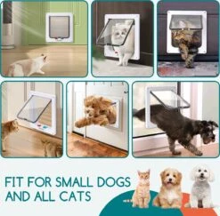 Nobleza Kattenluik Met Tunnel - 4 Vergrendelingsstanden - Weerbestendig - Binnen En Buiten - 20.5 X 19.7 Cm - Maat M - Wit 12 Nobleza Kattenluik Met Tunnel - 4 Vergrendelingsstanden - Weerbestendig - Binnen En Buiten - 20.5 X 19.7 Cm - Maat M - Wit -Huisdierbenodigdheden 1200x1179 19