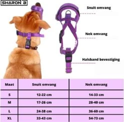 Sharon-B Muilkorf Turquoise Maat S - Fleece - Reflecterend - Kleine Hond -Huisdierbenodigdheden 1200x1179 4