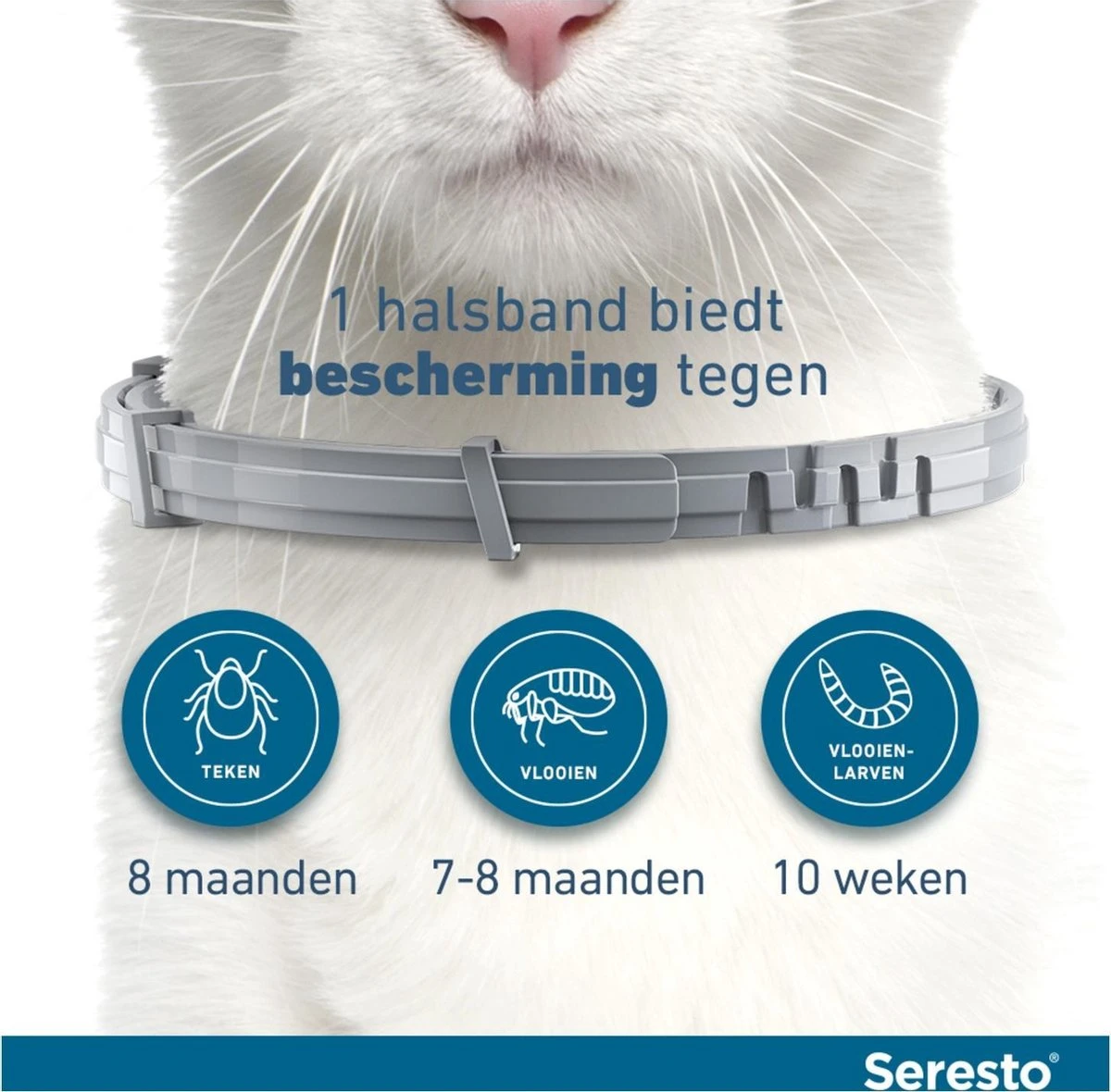 Seresto Teken- En Vlooienband - Anti Tekenmiddel - Kat - 38 Cm 13 Seresto Teken- En Vlooienband - Anti Tekenmiddel - Kat - 38 Cm - Afbeelding 13