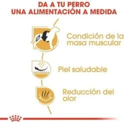 Royal Canin French Bulldog Adult 9 KG -Huisdierbenodigdheden 1200x1180 6