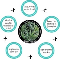 Greenfields Vacht Verzorging Set Voor Honden Shampoo, Conditioner & Droogshampoo -Huisdierbenodigdheden 1200x1182 1