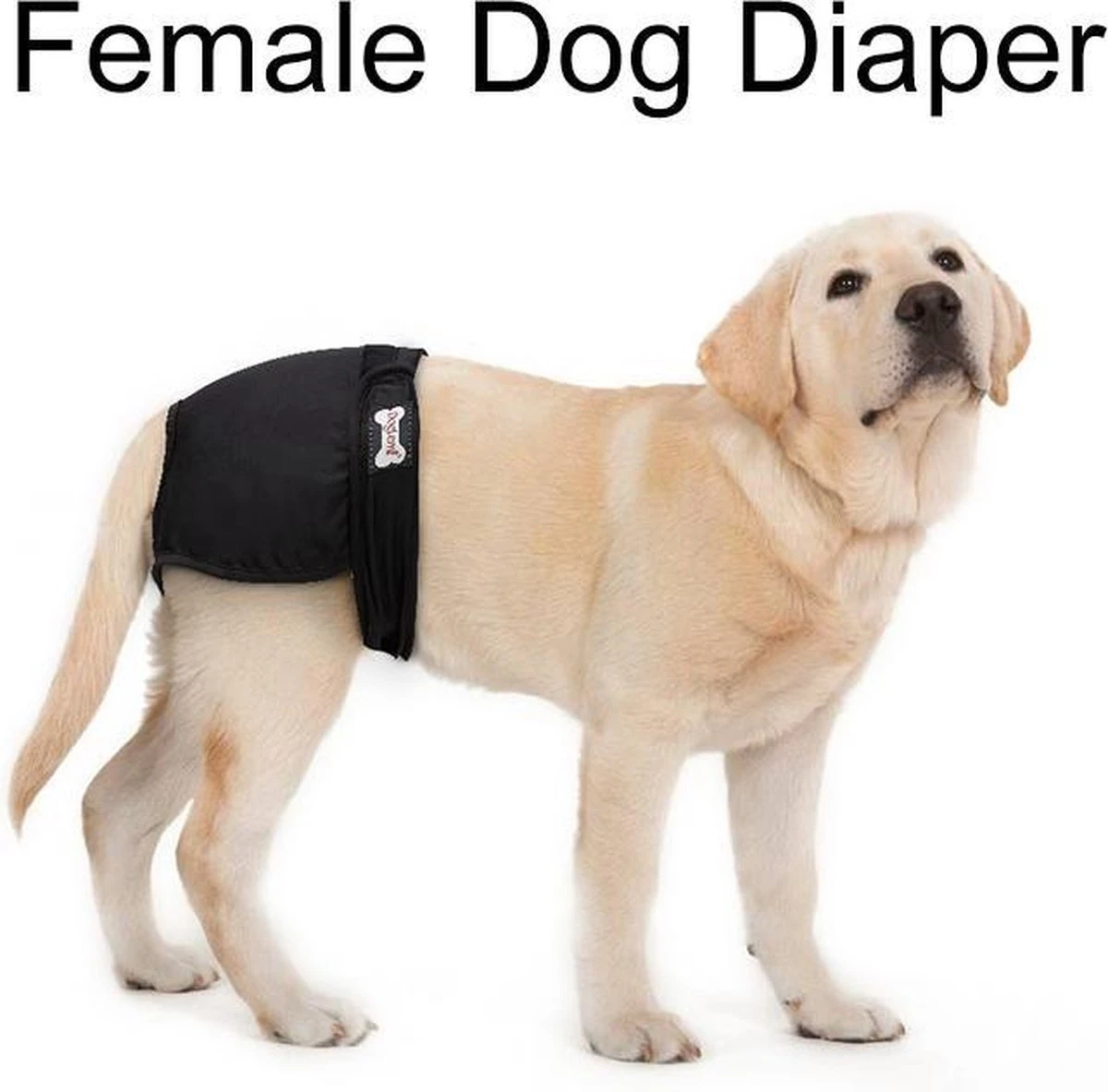 Loopsheidbroekje Hond - Zwart - Maat S - Hondenbroekje - Loopsheid Teef - Hondenluier - Wasbaar 6 Loopsheidbroekje Hond - Zwart - Maat S - Hondenbroekje - Loopsheid Teef - Hondenluier - Wasbaar - Afbeelding 6