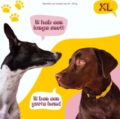 Eat Slow Live Longer Original Voerbak – Anti-schrok Voerbak – Slow Feeder Voor Honden – Anti-slip – Grijs – Ø20,5 Cm - Small/Medium – Geschikt Voor Kleine En Middelgrote Honden -Huisdierbenodigdheden 1200x1184 11