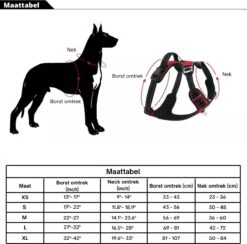 Hondenharnas – Inclusief Hondenriem – Reflecterend – Hondentuig – Hondenriem – Y Tuig Hond - Anti Trek Tuig - Zwart – Maat M 10 Hondenharnas – Inclusief Hondenriem – Reflecterend – Hondentuig – Hondenriem – Y Tuig Hond - Anti Trek Tuig - Zwart – Maat M -Huisdierbenodigdheden 1200x1184 15