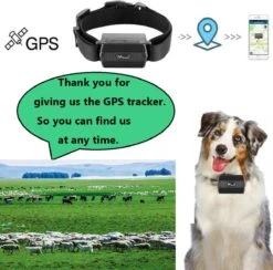 GPS Tracker Met Kraag Voor Jachthonden Koe Schapen 3000mAh IP66 Waterdichte Boerderij Huisdier Tracker Grote Dierenhalsband Met Gratis APP Geen Abonnement -Huisdierbenodigdheden 1200x1184 17