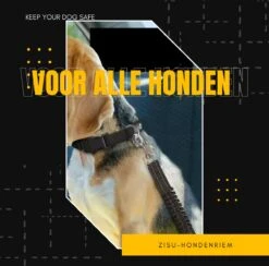 ZISU Autogordel Hond - Honden Autogordel - Hondengordel - Hondentuig - Verstelbaar En Elastische - Zwart - RVS -Huisdierbenodigdheden 1200x1185 10