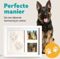 Honden Fotolijst Met Kleiafdruk - Gipsafdruk - Speelgoed Voor Dieren - Pootafdruk Hond - Puppy Speelgoed - Gipsafdruk Huisdier -Huisdierbenodigdheden 1200x1186 24
